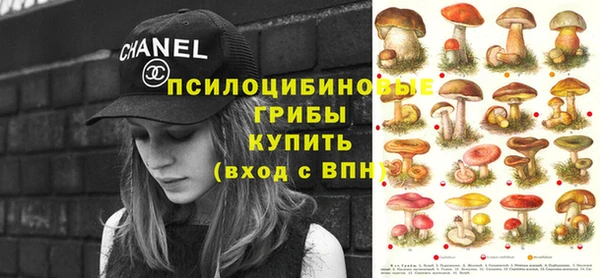 молекула духа Вязники