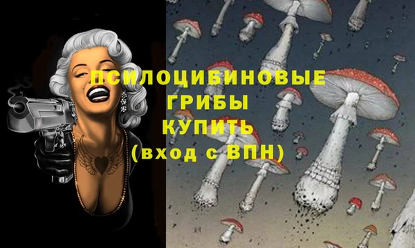 хмурый Вязьма