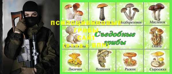 соль ск Тобольск