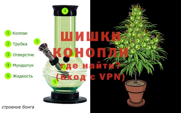 молекула духа Вязники