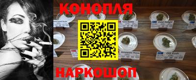 сатива Нальчик